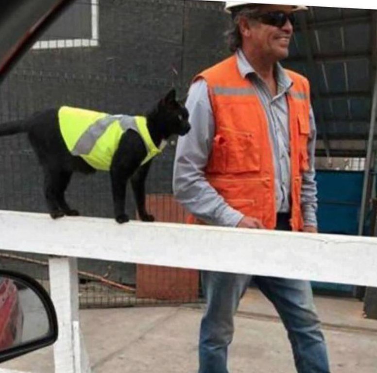 caterpillar safety jacket