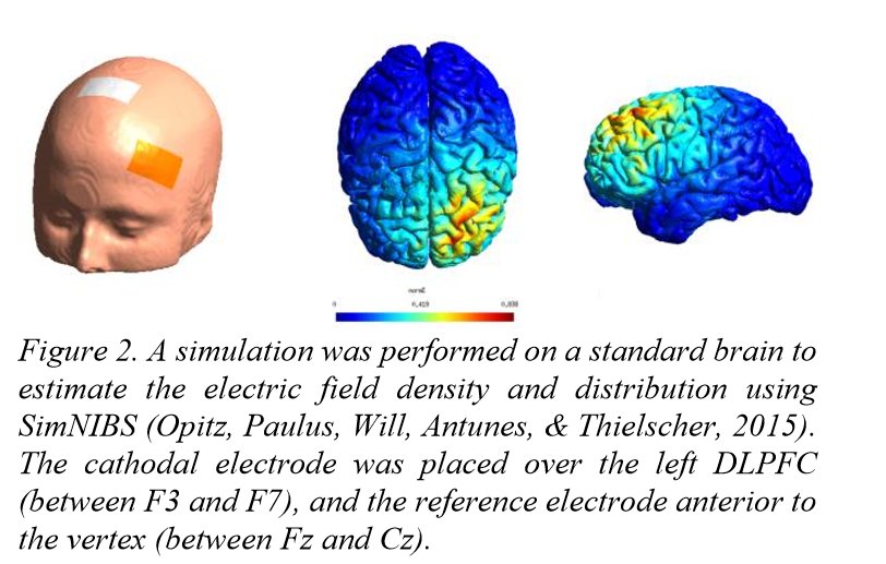 dorsolateral prefrontal cortex tdcs