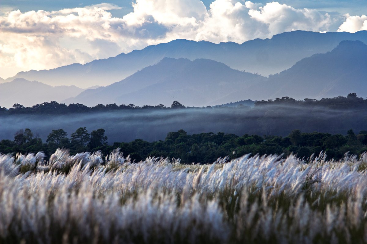 Alice Chautard 💧🌍📸 (@alicechautard) on Twitter photo Why a photo of #Nepal's floodplains on #InternationalMountainDay? B/c people & ecosystems further downstream depend on #water taking source in #mountains
Too much or too little water due to pressures in mountains can affect people all along the river, from peaks to plains 🏔️💦 Why a photo of #Nepal's floodplains on #InternationalMountainDay? B/c people & ecosystems further downstream depend on #water taking source in #mountains
Too much or too little water due to pressures in mountains can affect people all along the river, from peaks to plains 🏔️💦