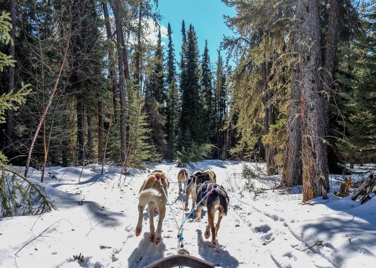 SkWanderer's tweet image. Check it out, gang!

Thanks to my search partnership with DirectWest and @mysask411, you’ll be seeing some wanderful photos on the cover of your 2018-2019 SaskTel phonebook!

#ExploreSask #SearchLocalFindLocal