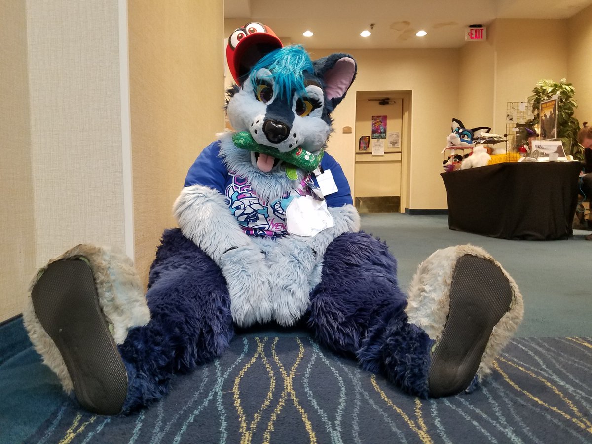 GuradianDragon's tweet photo. 1-UP, @NishaBlueFloof!! #FP2017 #Furpoc2017 https://t.co/nk8E88gF6F