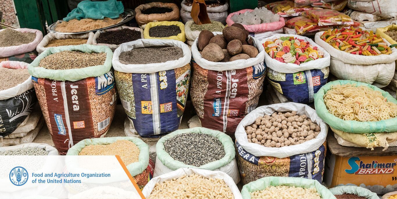 UNCTAD a Twitter: "Los países en desarrollo dependientes de productos  básicos deben redoblar esfuerzos por diversificar su economía para lograr  el #DesarrolloSostenible, según un nuevo informe de la @FAO y UNCTAD #MC11 #