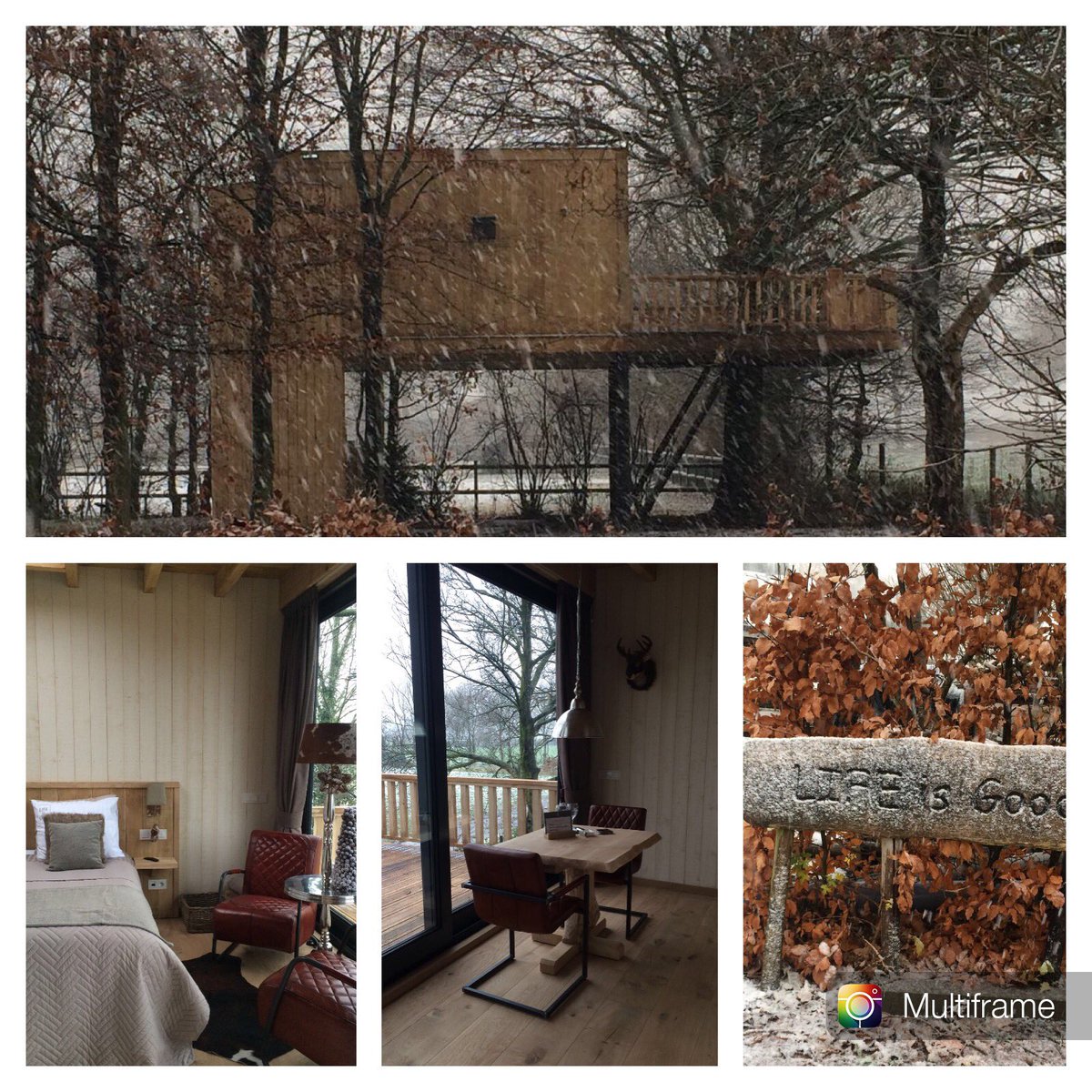 Oneroomhotel's tweet photo. Vanaf nu te boeken. Door het IQ-verwarmingsglas kun je het hele jaar door genieten. #iqglass #boomsuite #luxe #privacy #lifeisgood #deboomin #eiken #genieten #finsesauna #sneeuw #denbosch https://t.co/8rI2x0A3rI