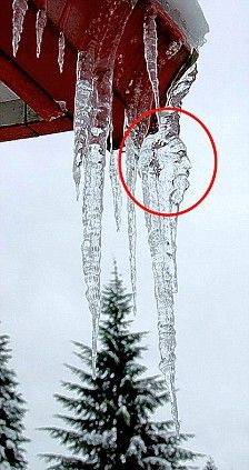 YardProduct's tweet image. Nature is great! #landscapinghumor #gardeninghumor