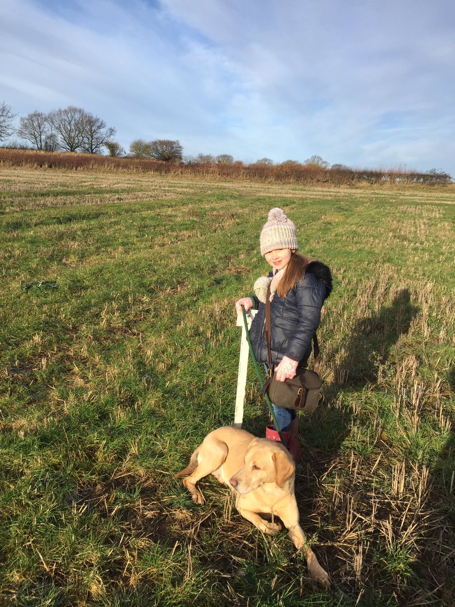 HForestry's tweet photo. Saturday.. waiting for the pheasants to show up.
Dog worked well and my little helper did a great job too! https://t.co/wPmzM1f389