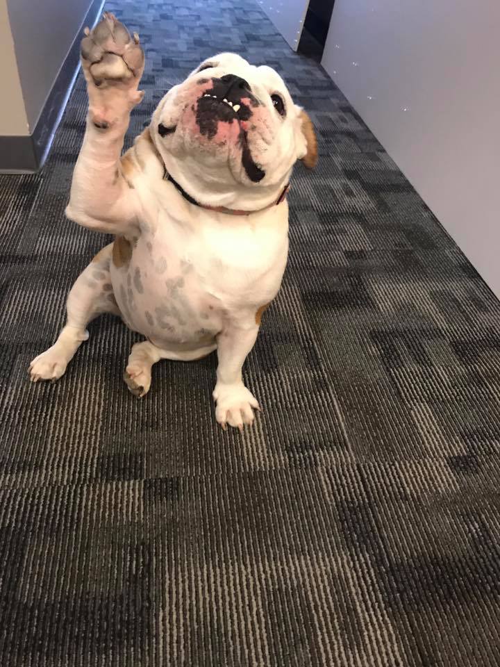 DUWritingWorks's tweet image. We are closed for fall semester. Have a great break! See you when we open again in February!