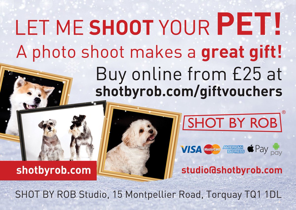 shotbyrob's tweet photo. A #photoshoot experience makes a great #gift. Buy #giftvouchers online from £25 at https://t.co/nVkRY9qSYn #photographer #photography #Christmas #ChristmasPresent #Torbay #Torquay #Devon  #TorbayHour https://t.co/tavWQGcfVz