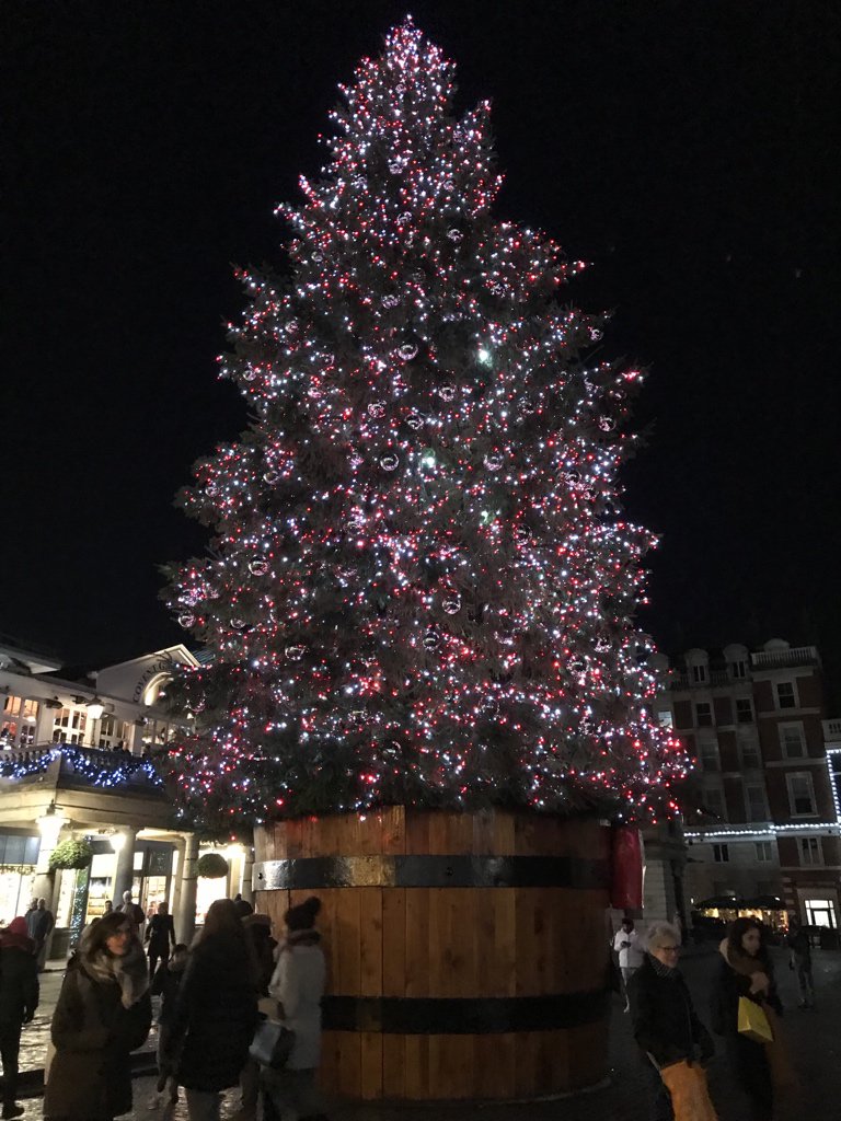 Adam Lee tweet media