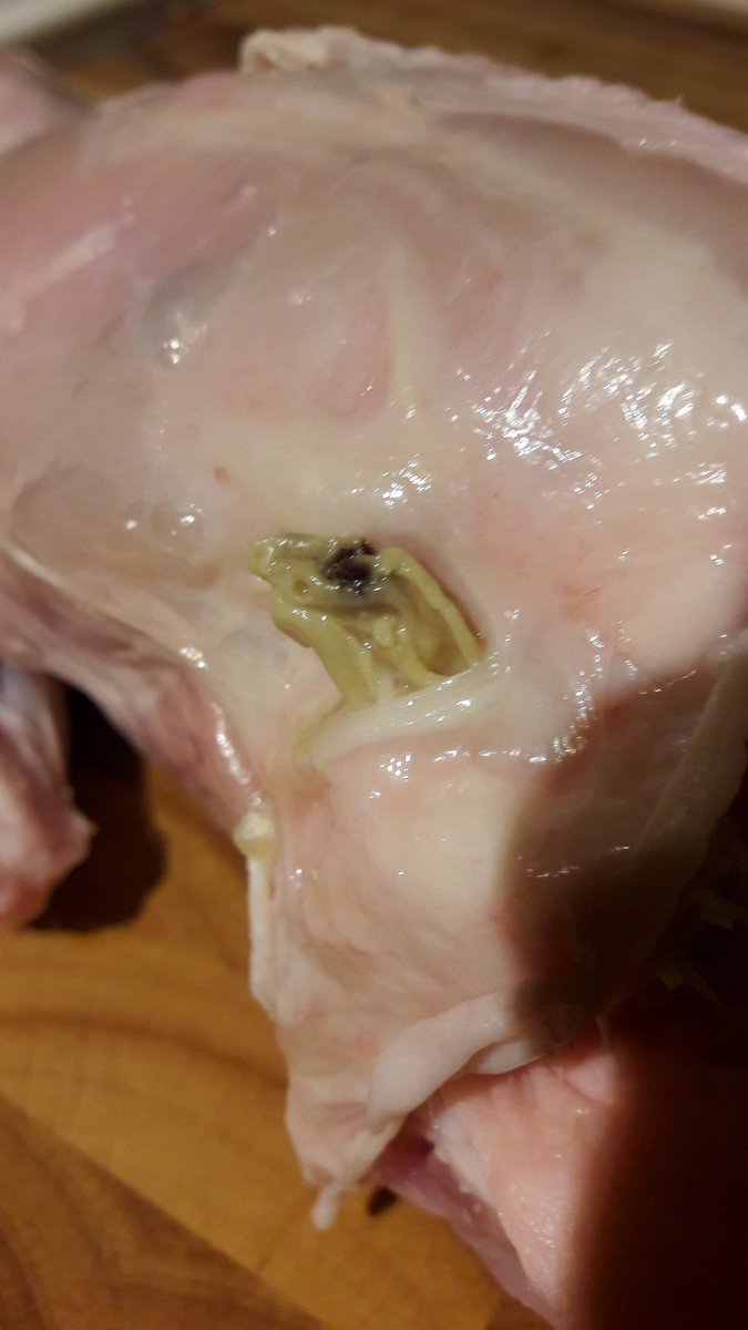 baird1975's tweet photo. @rivercottage @jamieoliver disgusted with my fresh chicken bought in @AldiUK  tonight https://t.co/PDyrfkwxSL