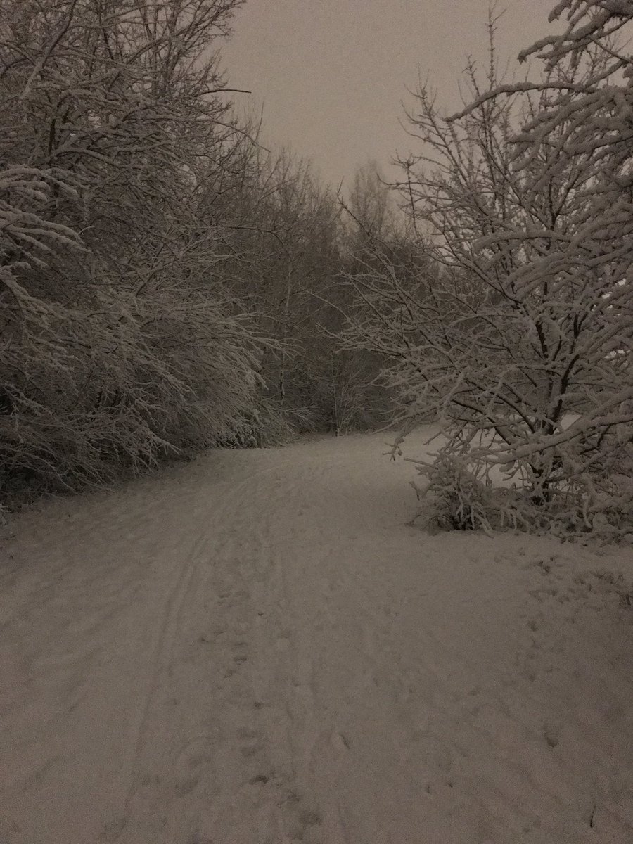 Winteravondwandeling #winterwonderland #sneeuwinnederland #puurgenieten #zullenwedezewintermeerkrijgen