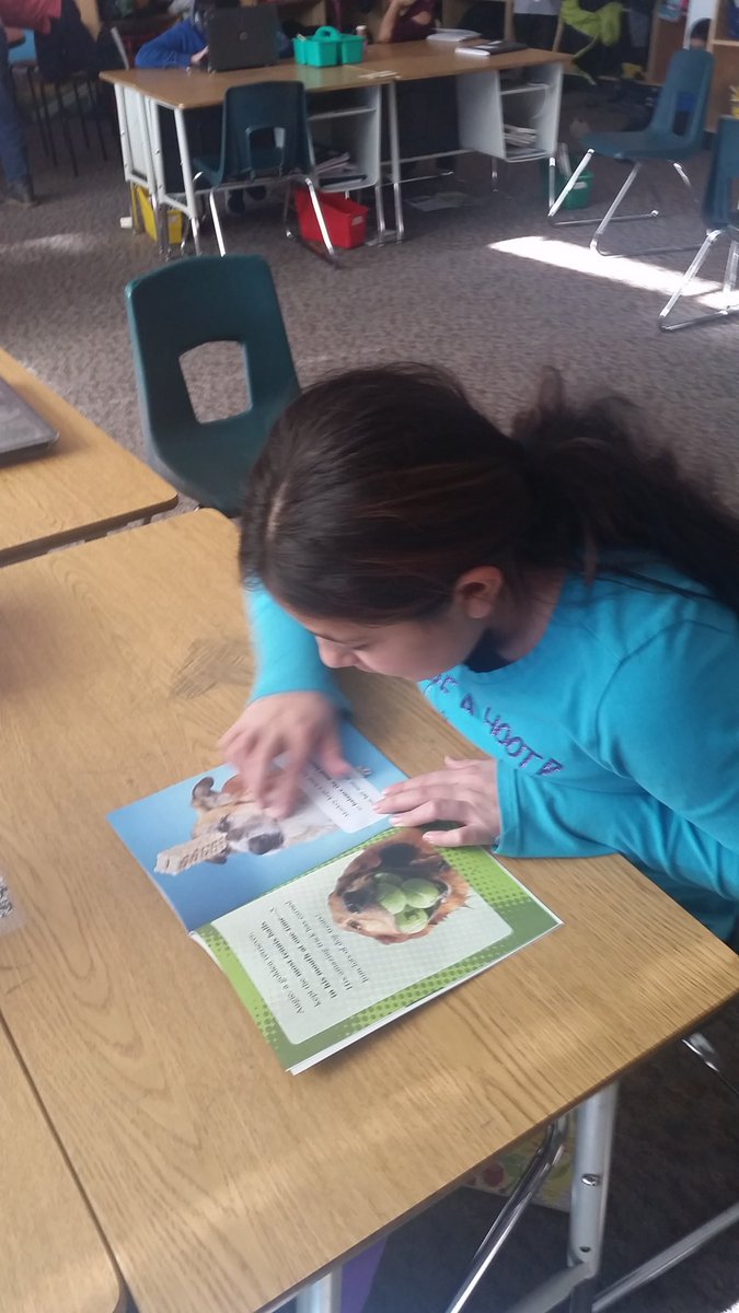 Mrs_Viau's tweet photo. Thanks @KaskeyC for our new books! #newbooks #svebearstrong #ssdedu https://t.co/BBwajffmjA