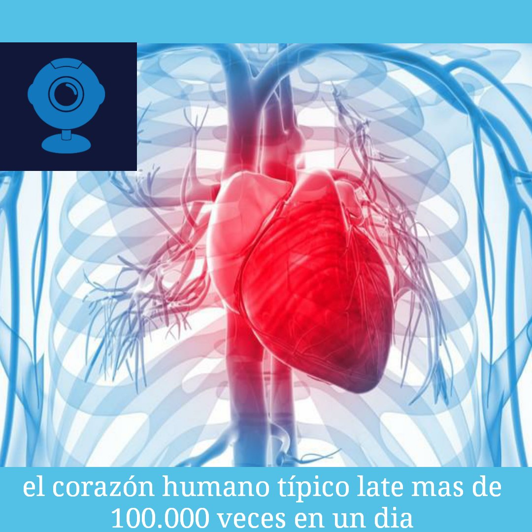 Sigue cuidando tu corazon, ejercitate para estar saludable
Cuentame: ¿cuantos años tienes?
.
#sercuriosotv #curioso #curiosos #curiosidades  #datoscuriosos #corazon #salud #vida #bienestar #soycurioso #humano #healthy  #felizlunes #lunesdeganarseguidores #siguemeytesigo