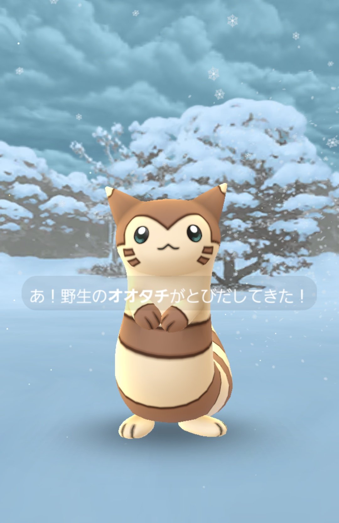 ジル 日常垢 ポケgo産休 やっぱりポケモンは天気がなくっちゃね Rse世代並感 雪景色にオオタチは合うよね オコジョっぽいし ฅ W ฅ T Co Xce8f8ddve Twitter