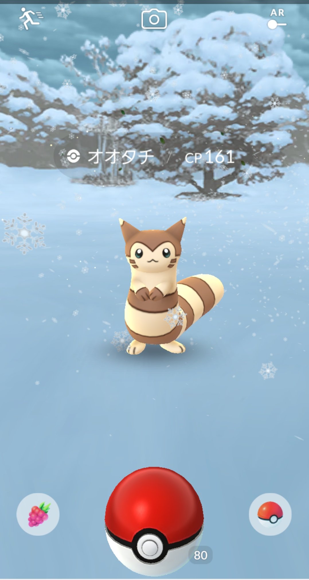 ジル 日常垢 ポケgo産休 やっぱりポケモンは天気がなくっちゃね Rse世代並感 雪景色にオオタチは合うよね オコジョっぽいし ฅ W ฅ T Co Xce8f8ddve Twitter