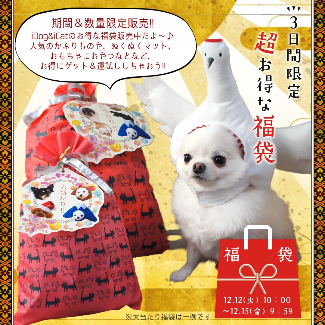 犬の服のidog 猫グッズのicat على تويتر 3日間限定 Idog Icatの福袋 Idog Icatでは わんこ ニャンコよろこぶ おやつやおもちゃ等の人気商品の詰め合わせ福袋を販売開始しました そして今年の福袋は 大当たり福袋が登場 期間 個数限定販売なので急いで