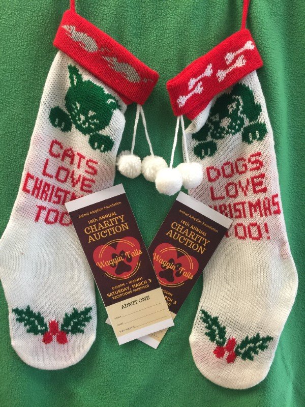 AAFPets's tweet image. zurl.co/KwVap