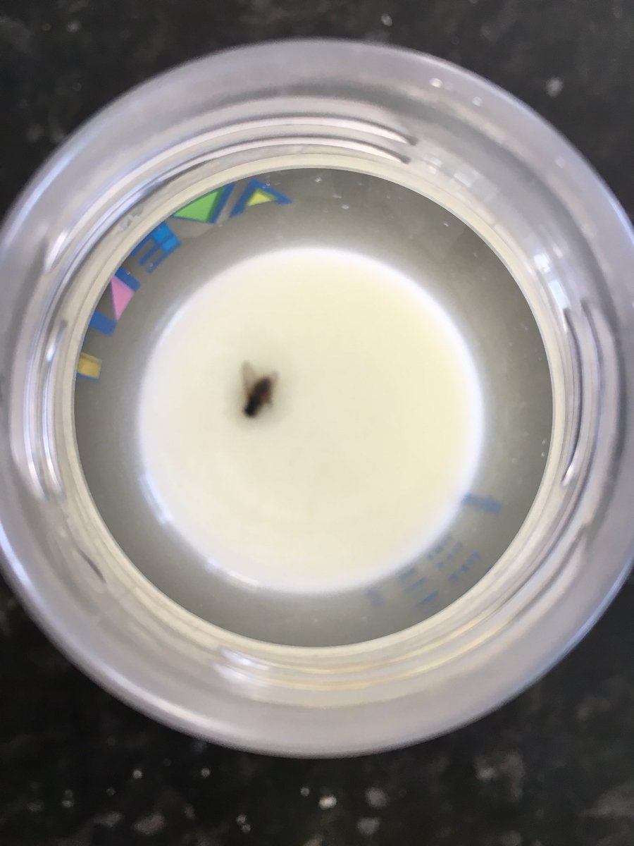 HdizzyDizzle's tweet photo. Sobs hysterically as she pours 165mls of milk down the drain. #exclusivelyexpressing https://t.co/Kur2fovnIl