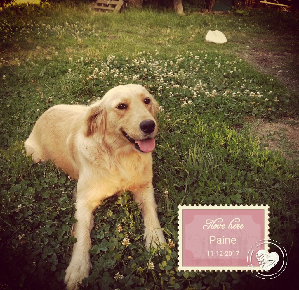 francisco mazurett (@mazurett) on Twitter photo 