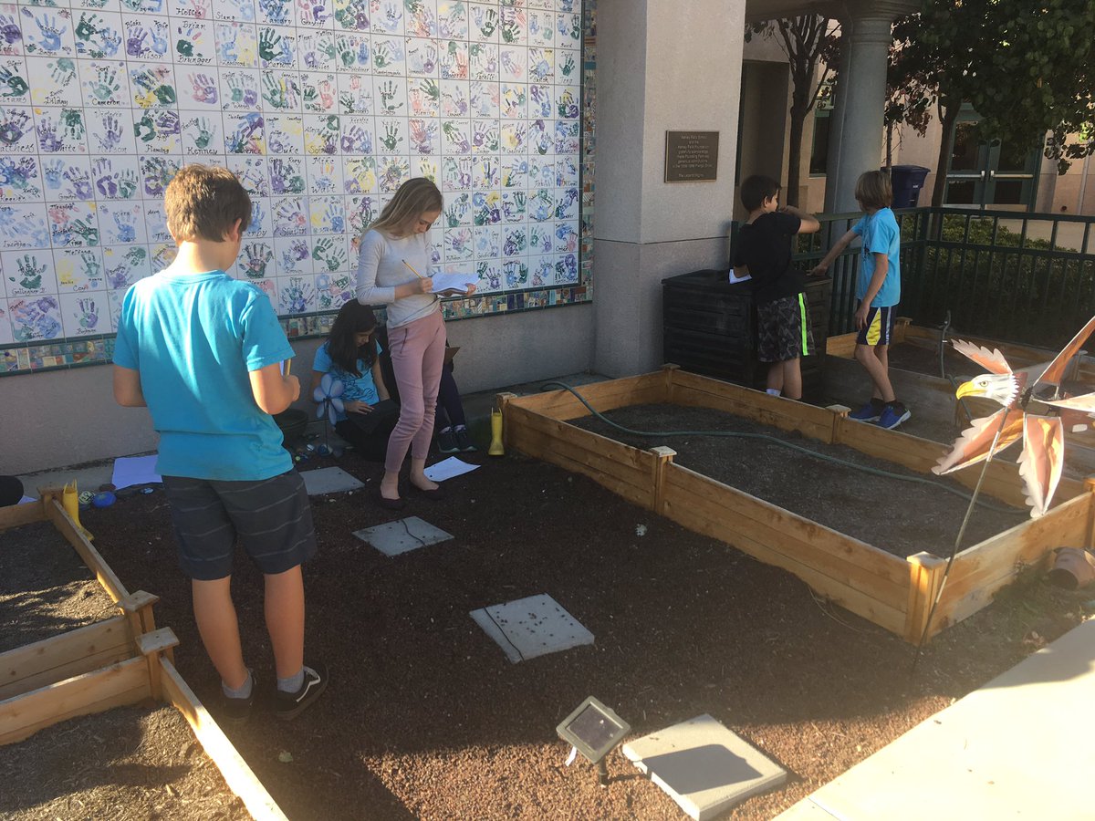 AF Ss creating a garden of our dreams! #designthinking #DMUSD #ashleyfallsschool