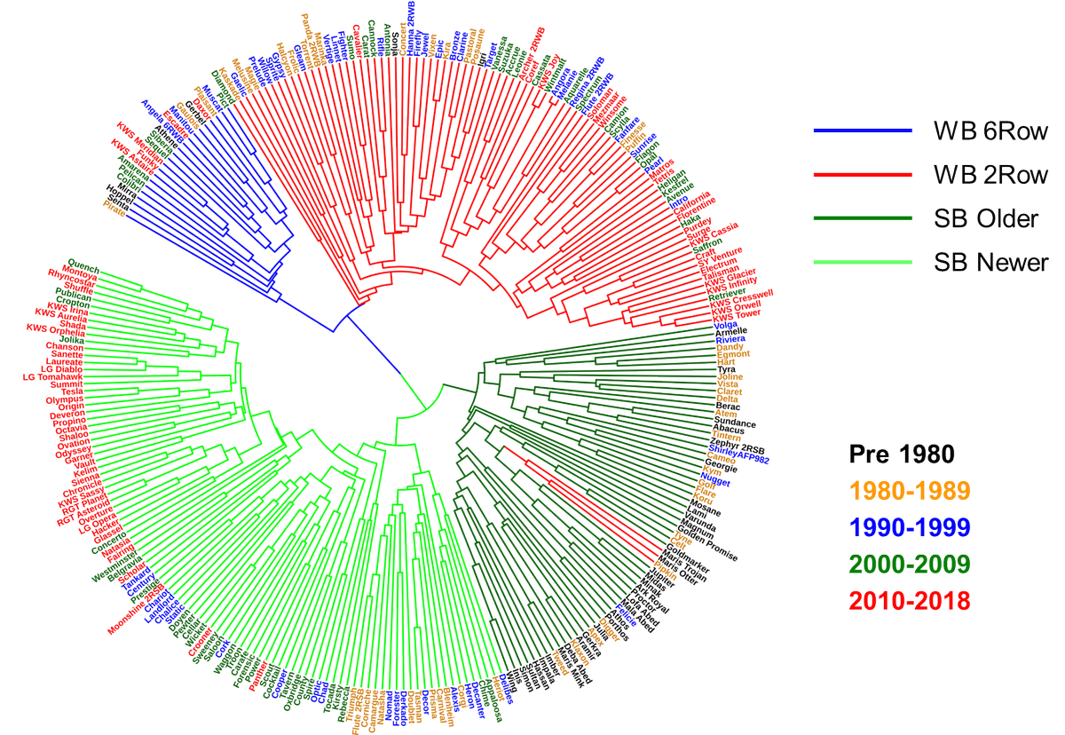 BarleyPlanet's tweet photo. How do new recommendations on @AHDB_Cereals list for 2018/19 compare to previous ones? Look at #CircleOfBarley below to see how modern varieties are much more similar than older ones. SBs LG Diablo &amp; LG Tomahawk are close to Laureate and RGT Asteroid to RGT Planet. #betterbarley https://t.co/f6fLrtjj7N