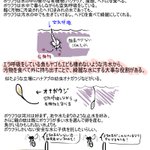 夏のかゆいアイツも重要!？ 天敵視される「蚊」についてのお話
