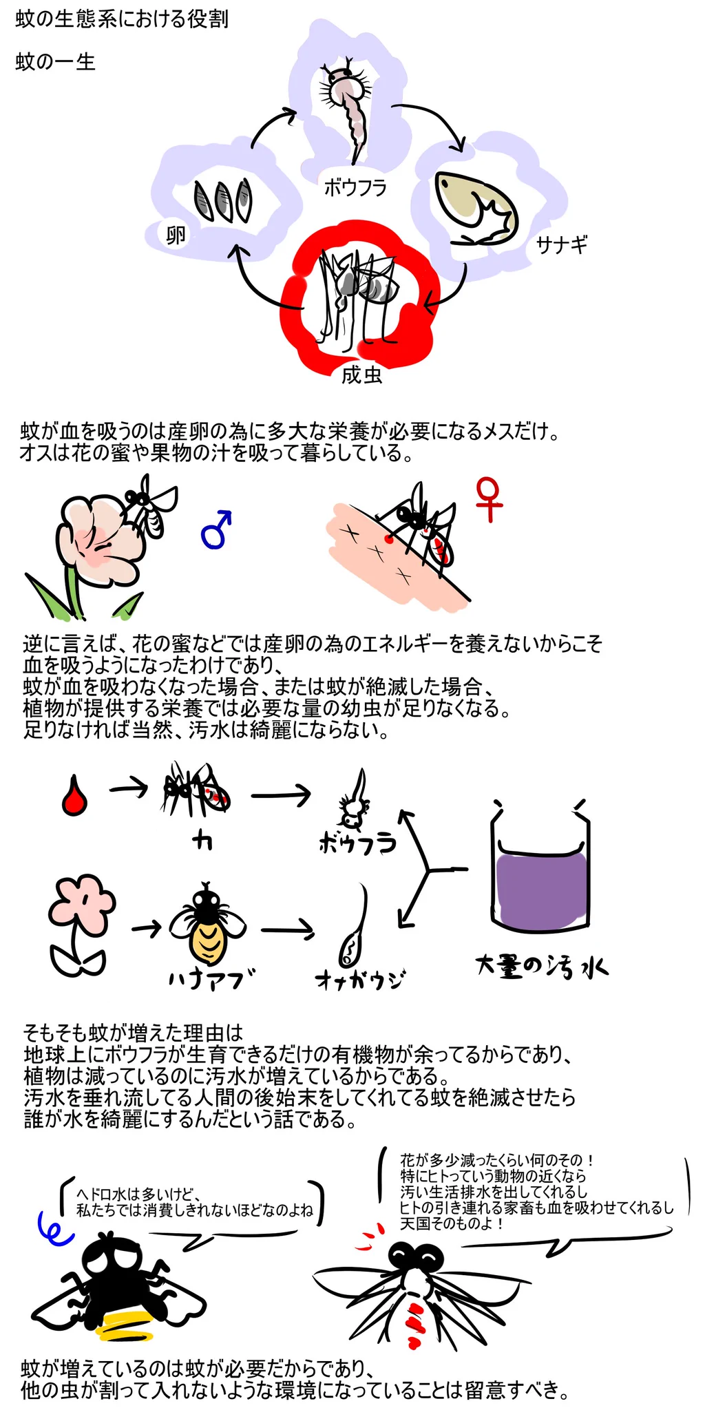 夏のかゆいアイツも重要！？ 天敵視される「蚊」についてのお話