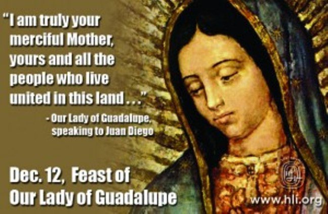 rev_sherwood's tweet image. Tuesday 12th December 2017.
Feast of Our Lady of Guadalupe.
