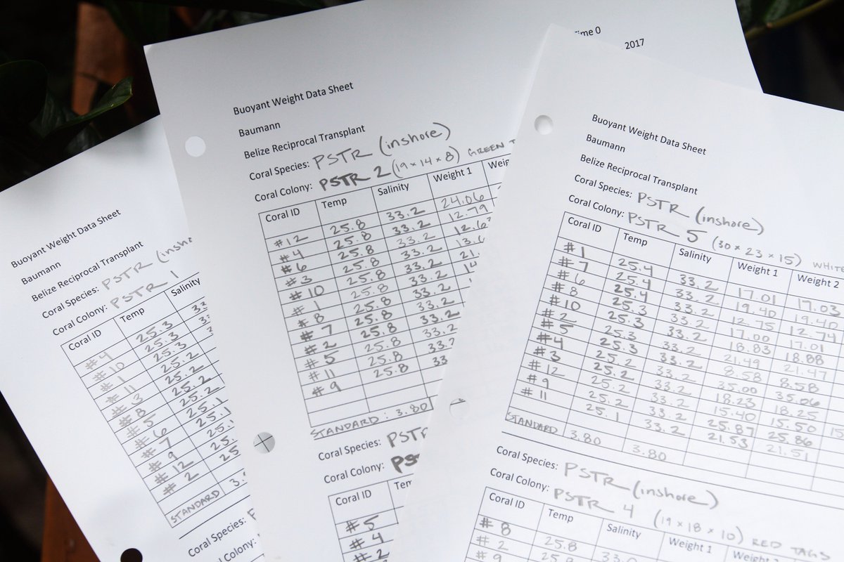 mlparkermedia's tweet image. Working with scientists is cool - actually doing science is even cooler. Look at all the awesome data I recorded today! Big shout out to @seabove7 for being the buoyant weight master #fieldworkwin
