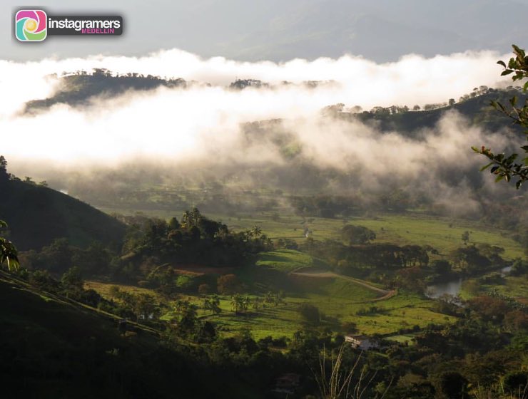 IgersMedellin's tweet photo. 🏆📷 ¡ FOTO  DEL  DÍA ! 📷🏆

¡Felicitaciones! sebasdelmar 

https://t.co/USXe2d1c1a https://t.co/9FzjJn2UhL