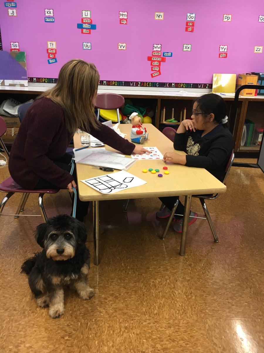 My classmates <a href="/PS145M/">P.S. 145 The Bloomingdale School</a> are so awesome! They were sitting around talking about teamwork and coming up with ways to incorporate me into speech therapy sessions! I so love them!! 🤓 #comfortdogdaynyc #creativespeechtherapy <a href="/nycschools/">NYC Public Schools</a> <a href="/followcsa/">CSA</a> <a href="/NycDistrict3/">@NycDistrict3</a>