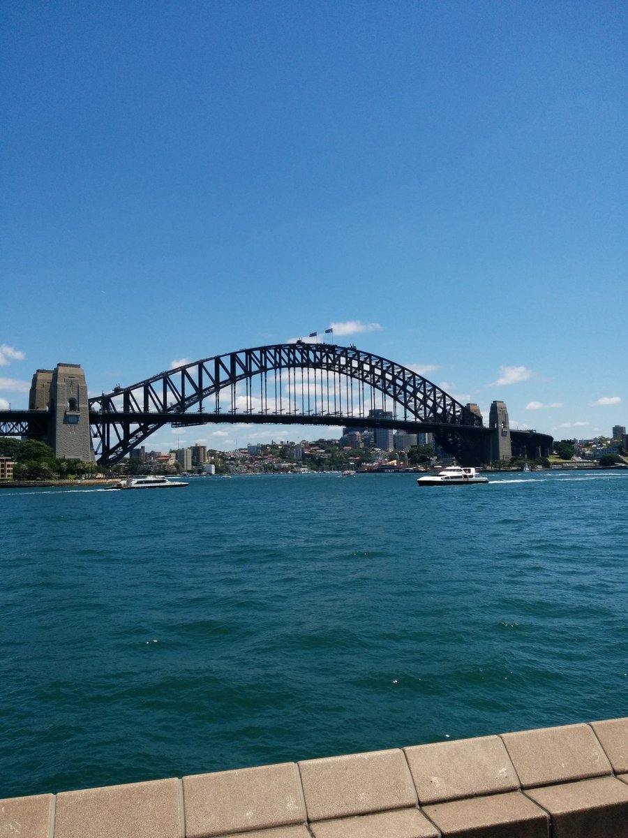 Tom Milnes tweet media