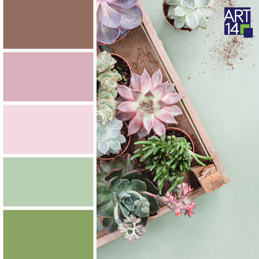 ART14EC's tweet image. La naturaleza puede ser tu mejor paleta de color en decoración ¿Qué opinas? #decoración