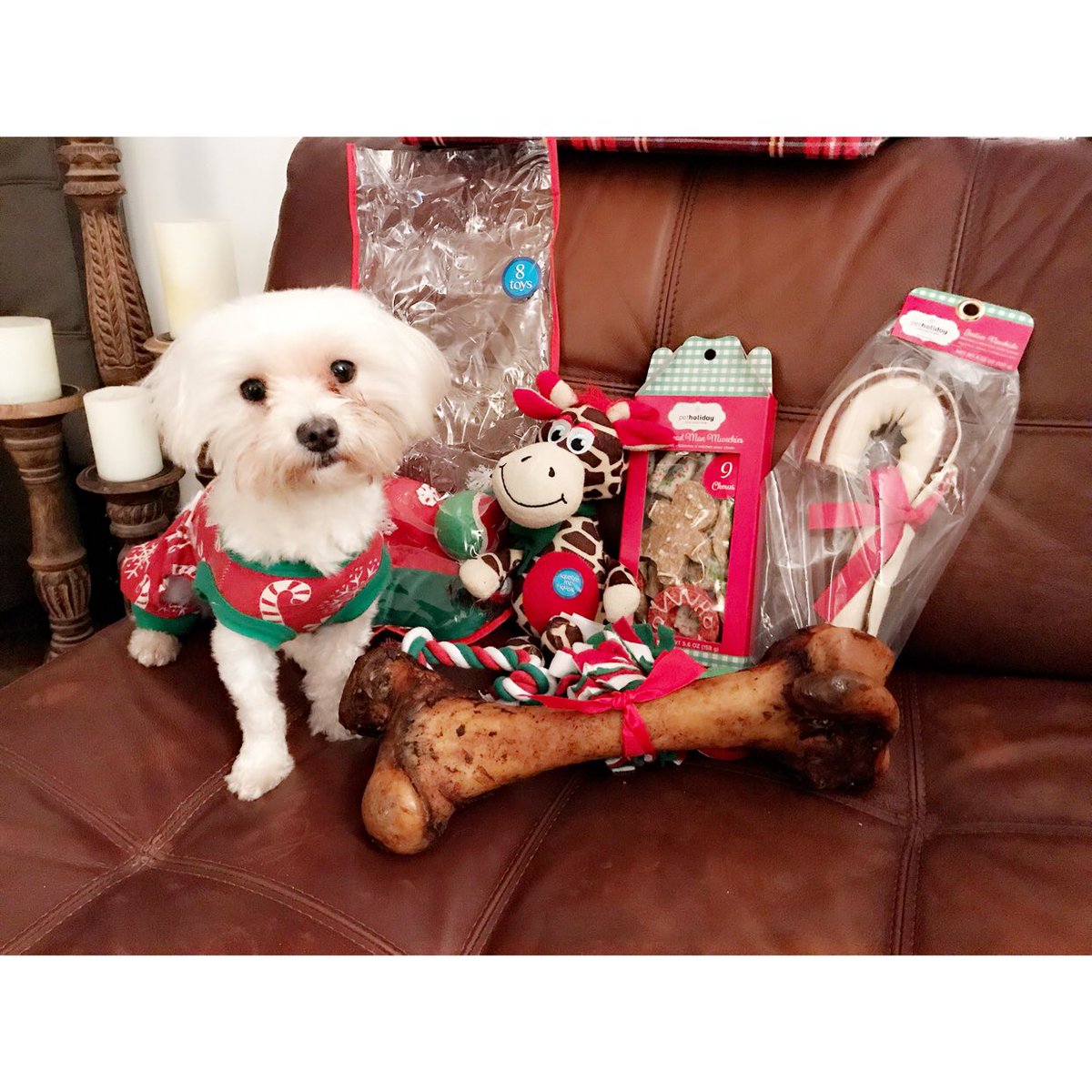 vickycdavis's tweet image. 