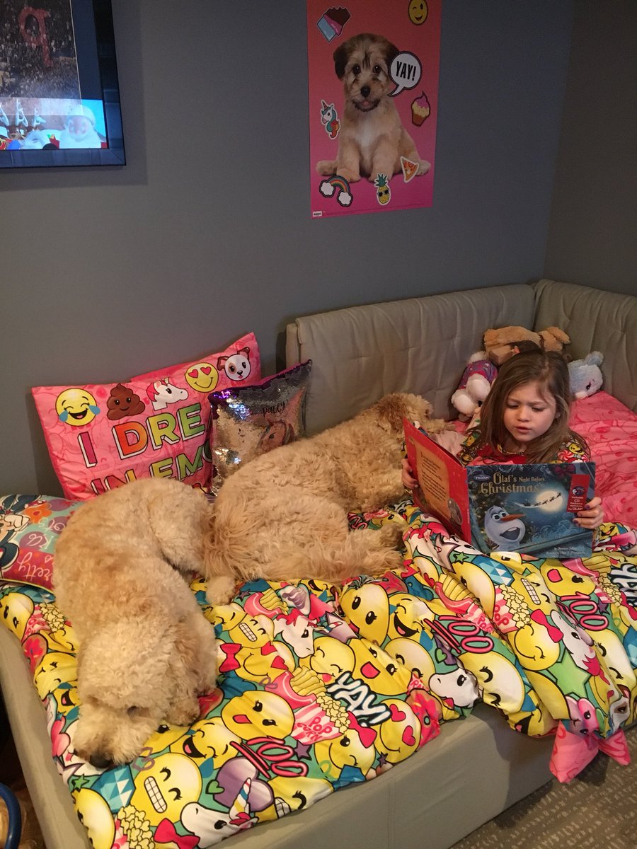 mbpark23's tweet photo. Pacey Parker reading to her puppies! #hcsreads https://t.co/d3aU6wCkOu
