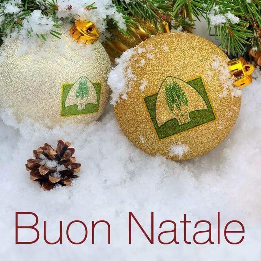 #BuonNatale