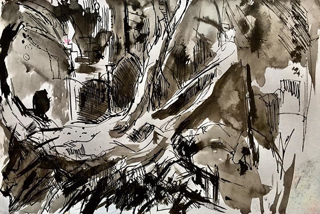 SCareyPainter's tweet photo. Pen, brush and ink sketchbook drawing of a fallen tree, St Mary’s Church, Snettisham, Norfolk. Like to make some paintings of this sometime #penandink #penandwash #norfolklandscape #sketchbook #dailyart #dailysketch #monoart https://t.co/sm7MGqVjo3