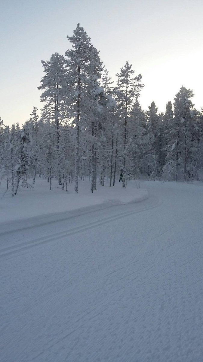 levi_wip's tweet photo. Perfect #skiing weather today #levilapland https://t.co/8jDWAbdeJl
