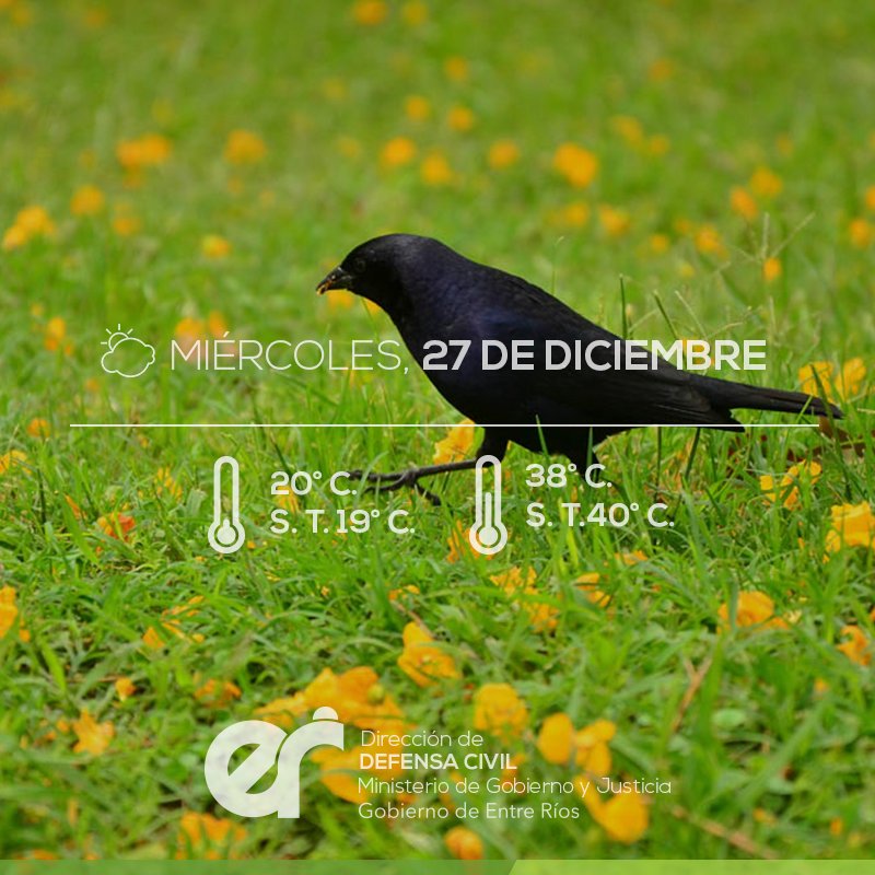 DefensaEr's tweet photo. Temperatura Mínima pronosticada: entre 20 a 22° C. / S. T. mínima: 19 a 21° C. Menores sobre el centro de la pcia. Temperatura Máxima pronosticada: entre 35 y 38° C. / S. T. máxima: 37 a 40° C. Mayores sobre el Norte de la pcia. https://t.co/oD9MeZV78w