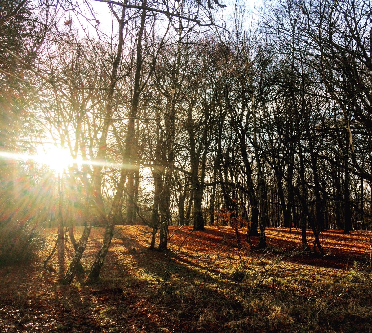 KatieAllen97's tweet photo. @BhamDogsHome Beautiful Charity walk this #BoxingDay https://t.co/Mf3vjbeWPm