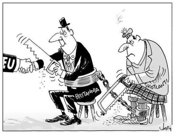 Per Vassbotn tweet media
