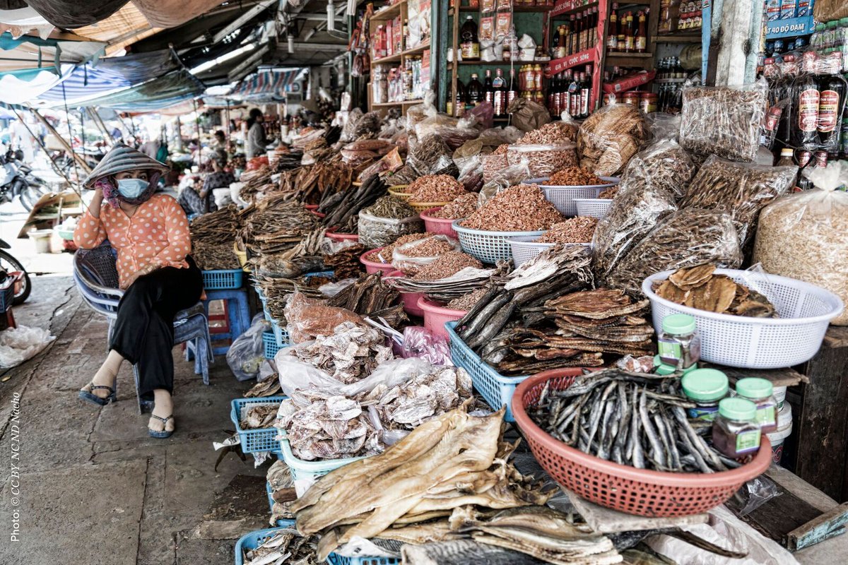 UNEP's tweet photo. Enabling consumers to become a part of the cycle of use and reuse as well as making informed choices protects the environment. Read more here: https://t.co/GRoimQ4VvF
#BeatPollution https://t.co/81CRFEG9VL