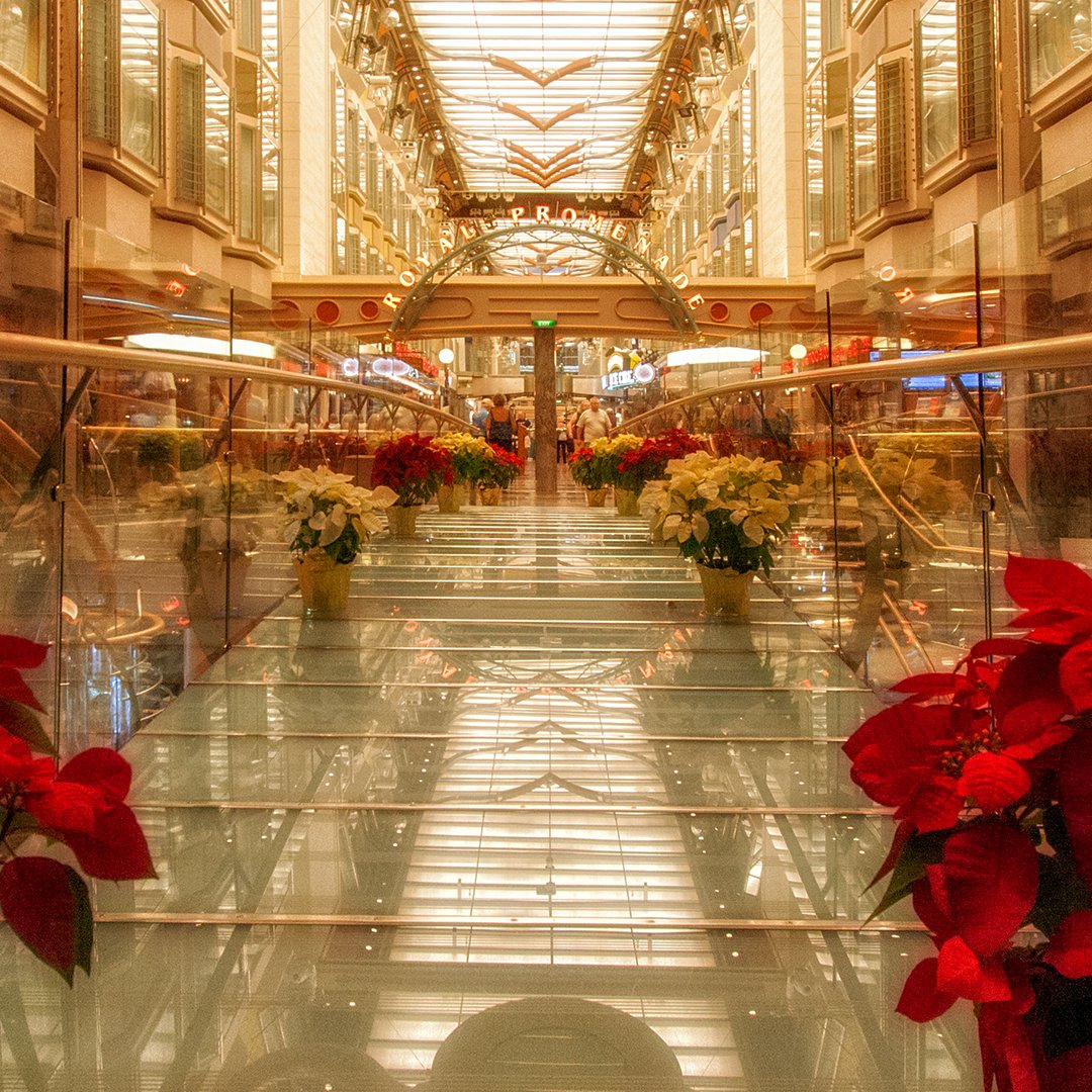 Royal Caribbean Esp tweet media