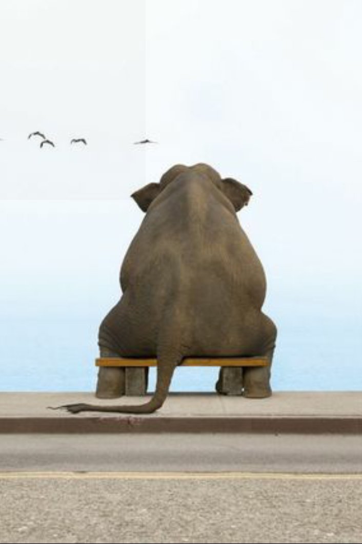 Animalslover14's tweet photo. Feel alone 😔 https://t.co/R9RIXGaD9e