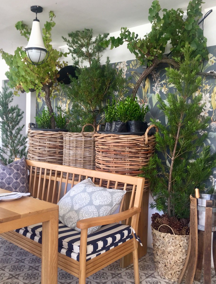 What a fabulous  farm-to-table lunch <a href="/BoschendalFarm/">Boschendal Farm</a> #Christmaslunch