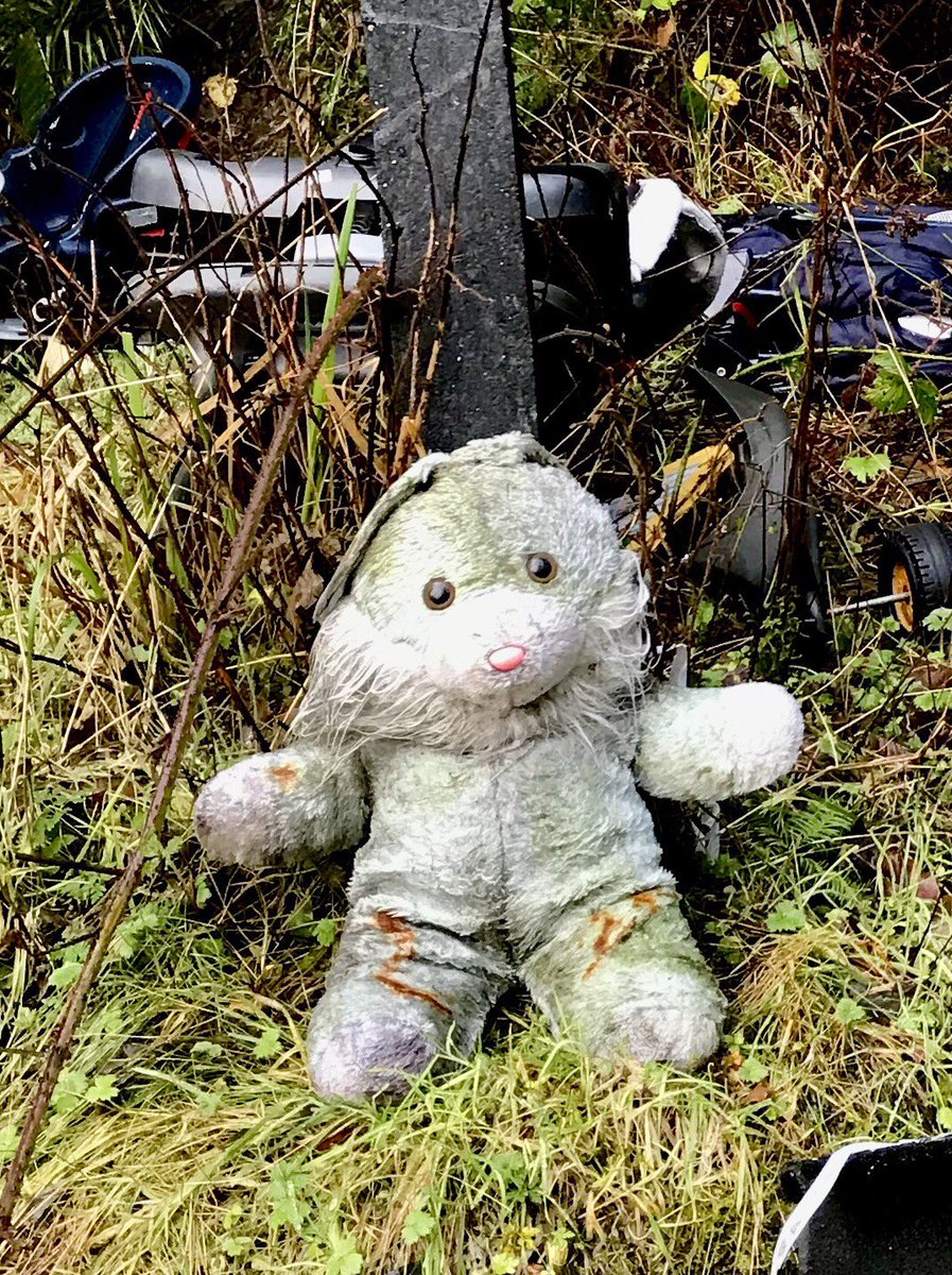 Ireland In Focus tweet media