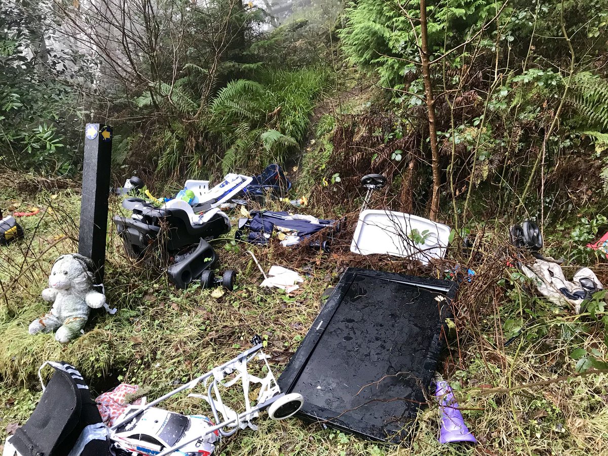 Ireland In Focus tweet media