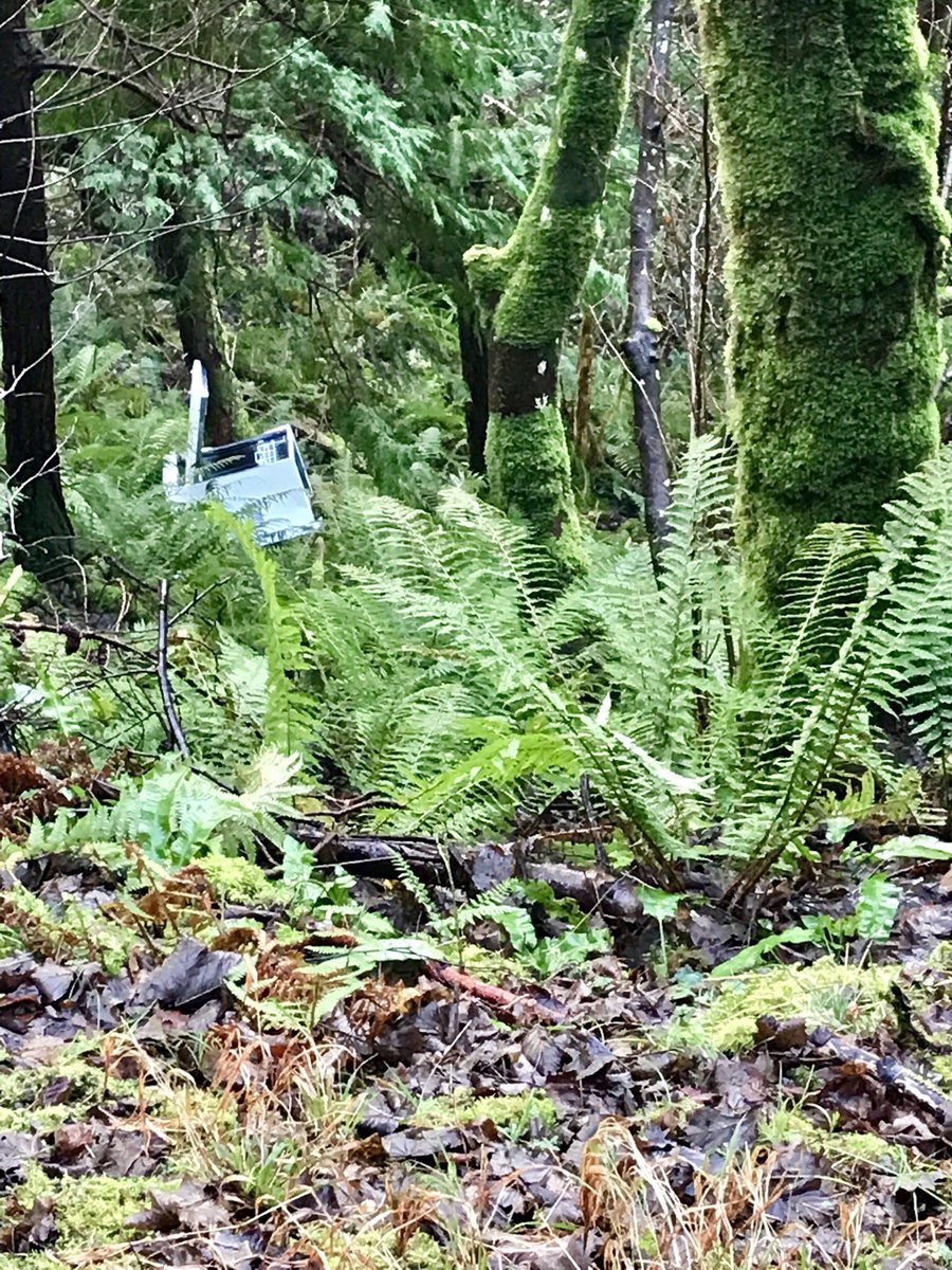 Ireland In Focus tweet media