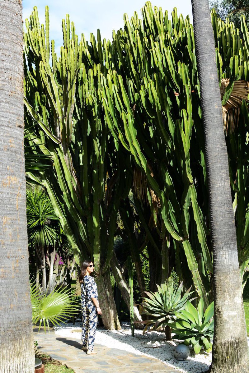 Surrounded by natural beauty at #DonCarlosResort 🌵Have a great day!