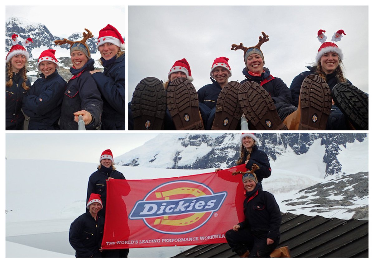 Dickies Europe tweet media