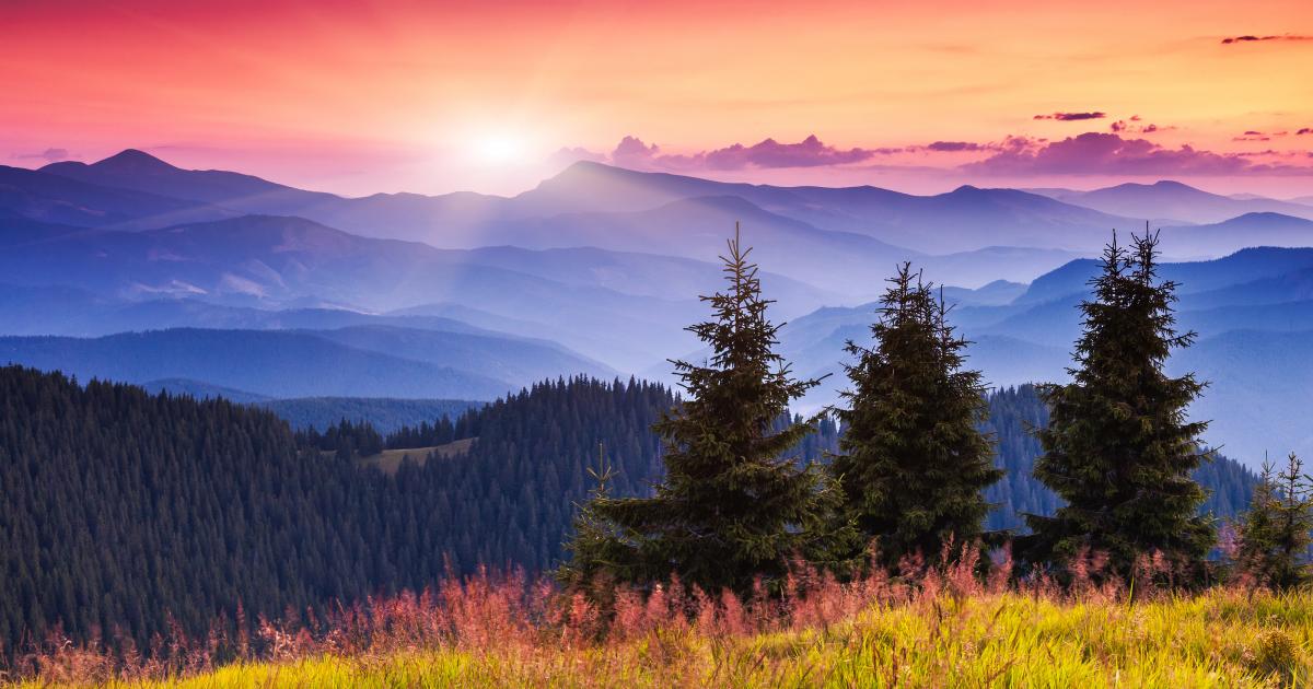 RealHelthyStyle's tweet image. Beautiful Sunrise